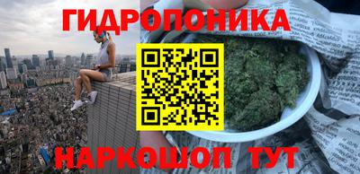ALPHA-PVP Ачхой-Мартан
