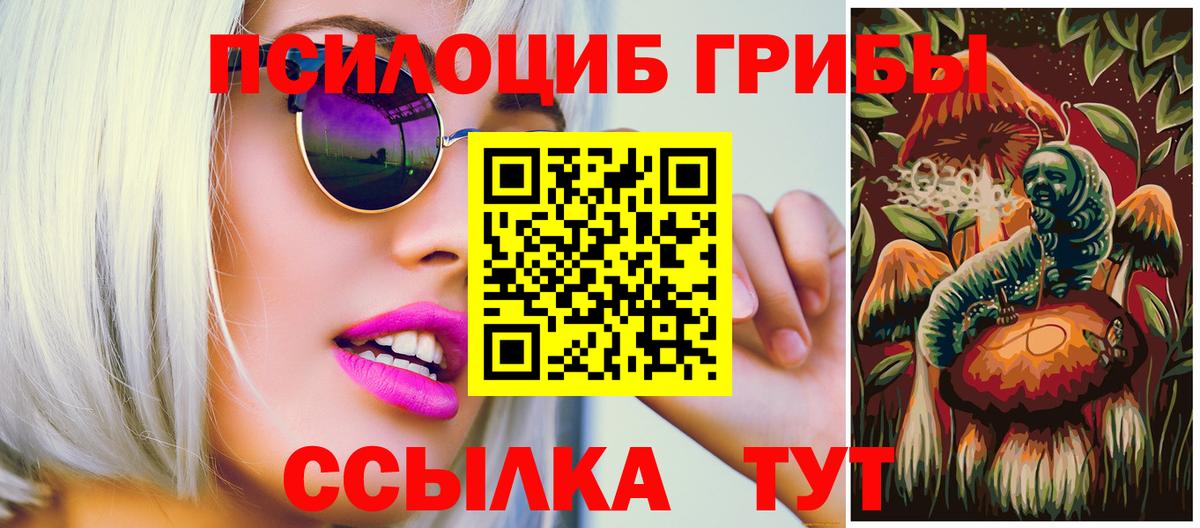 Псилоцибиновые грибы Psilocybe  Баксан  Галлюциногенные грибы мухоморы 